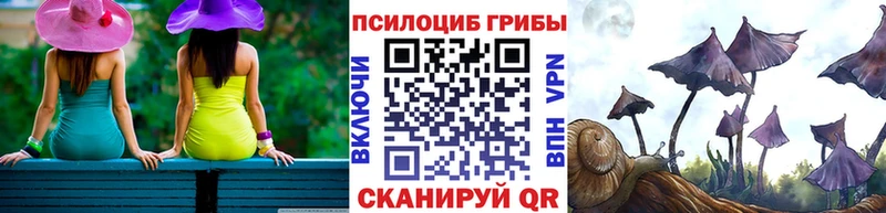 Купить  Боровск  Галлюциногенные грибы мицелий 